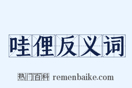 哇俚反义词是什么意思的图片